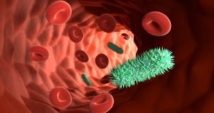 Rote Blutkörperchen und Bakterien Graphik